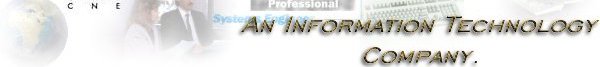 I.T. Company